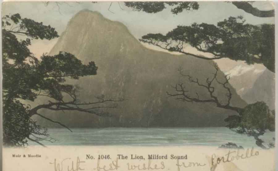 a close up of a mountain